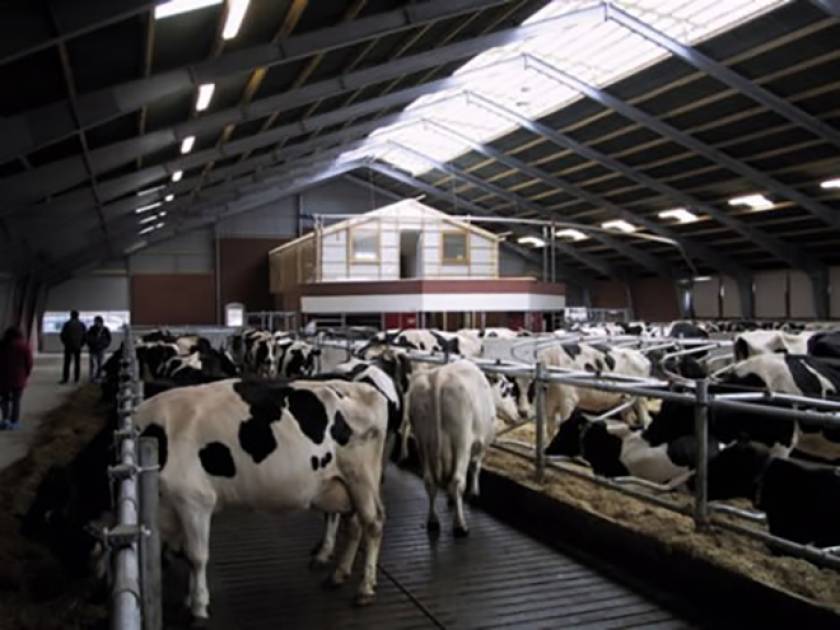 New Danish facilities with two robotic milkers