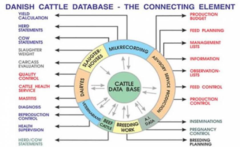 Danish national database structure
